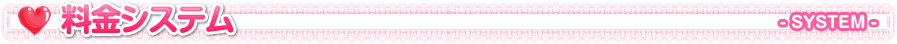 �V�X�e��