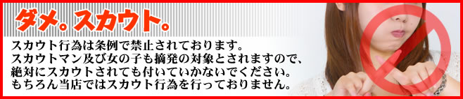 �X�J�E�g�_��